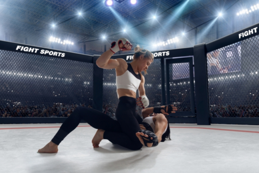 Brasil e MMA: A Paixão de um País pela Luta